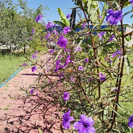 Arlin Parc de vacanță *