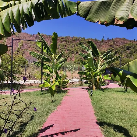 Parc de vacanță Arlin