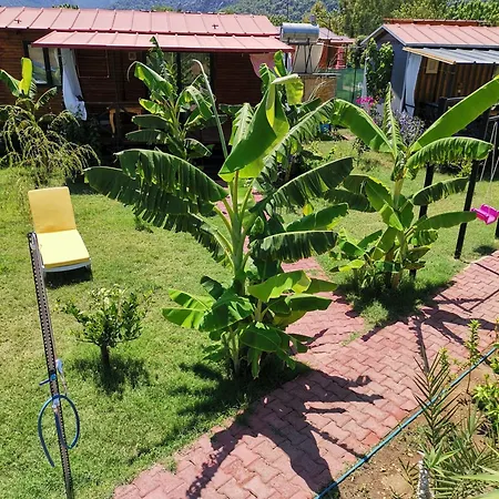 Vakantiepark Arlin